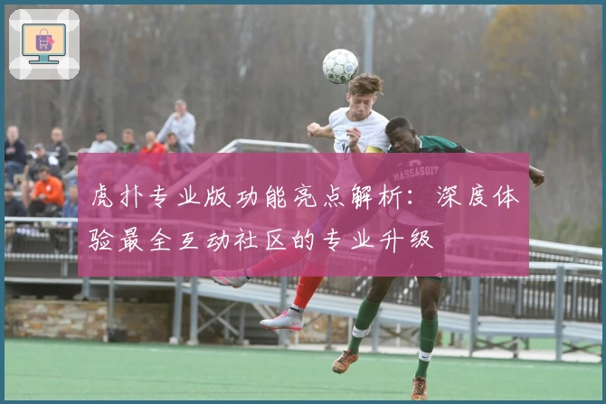虎扑专业版功能亮点解析：深度体验最全互动社区的专业升级