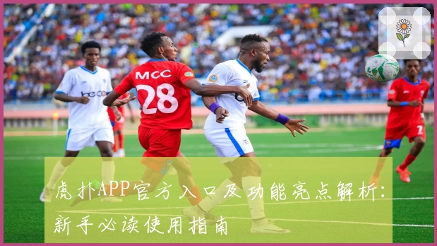 虎扑APP官方入口及功能亮点解析：新手必读使用指南